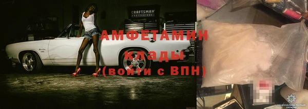 мет Алексин