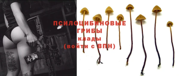 мет Алексин
