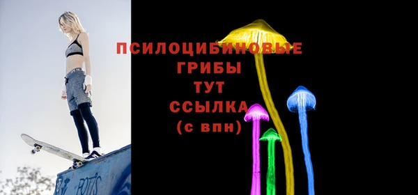 мет Алексин