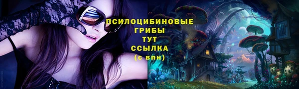 а пвп мука Алзамай