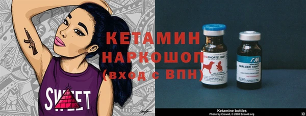 мет Алексин