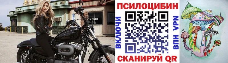 дарк нет формула  наркошоп  Зуевка  Галлюциногенные грибы прущие грибы  omg ссылки 